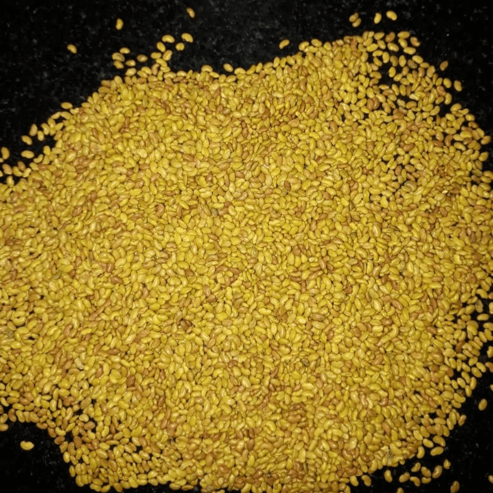 Alfalfa Seed