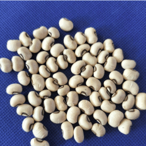 Cowpea Seed Fodder King