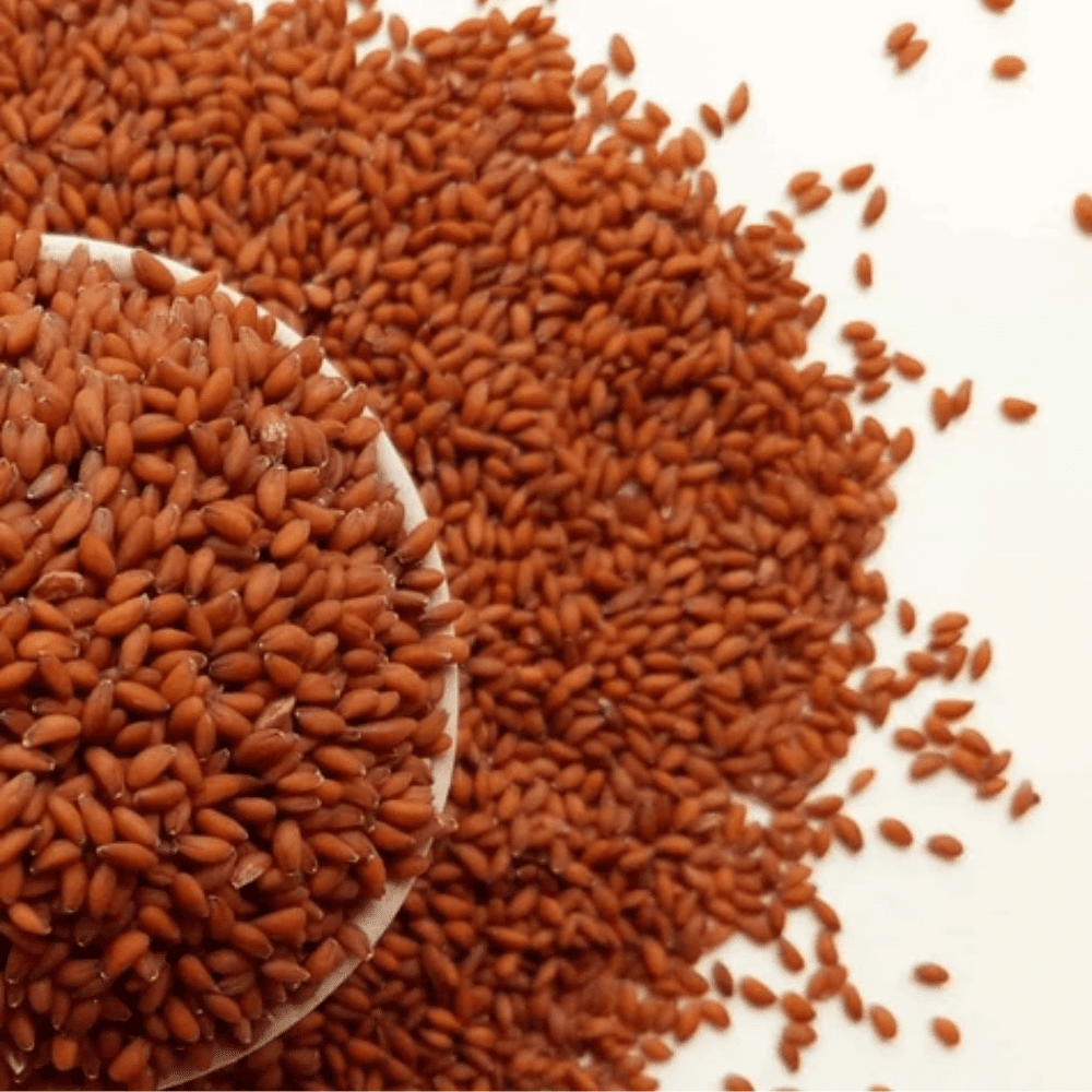 Halim / Chandrashur Seeds