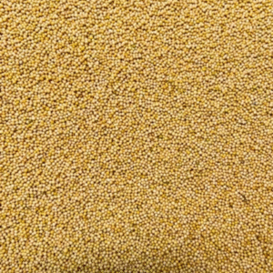 Mustard Yellow Gold Seeds