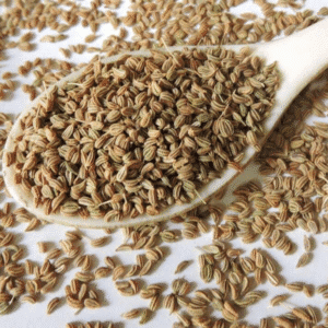 Oregano (Ajwain) Seed