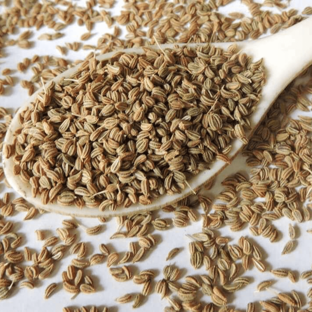 Oregano (Ajwain) Seed