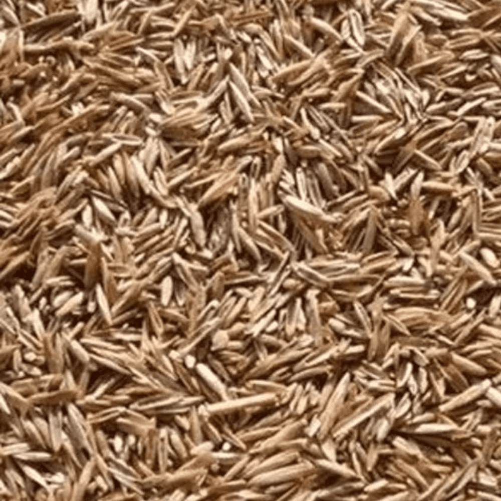 Rye Grass Seed Magic