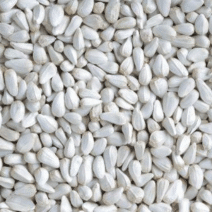 Safflower Seeds (Candy Variety)