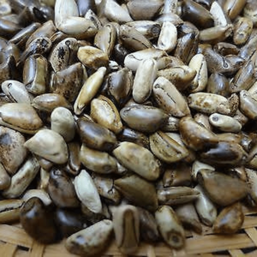 handpicked red chillies