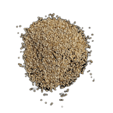 untitled design (16) (1)