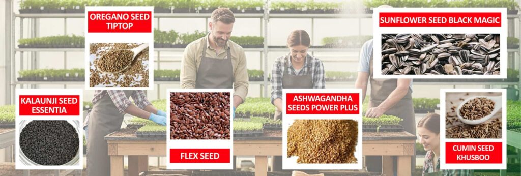 1st-seeds--scaled (1)