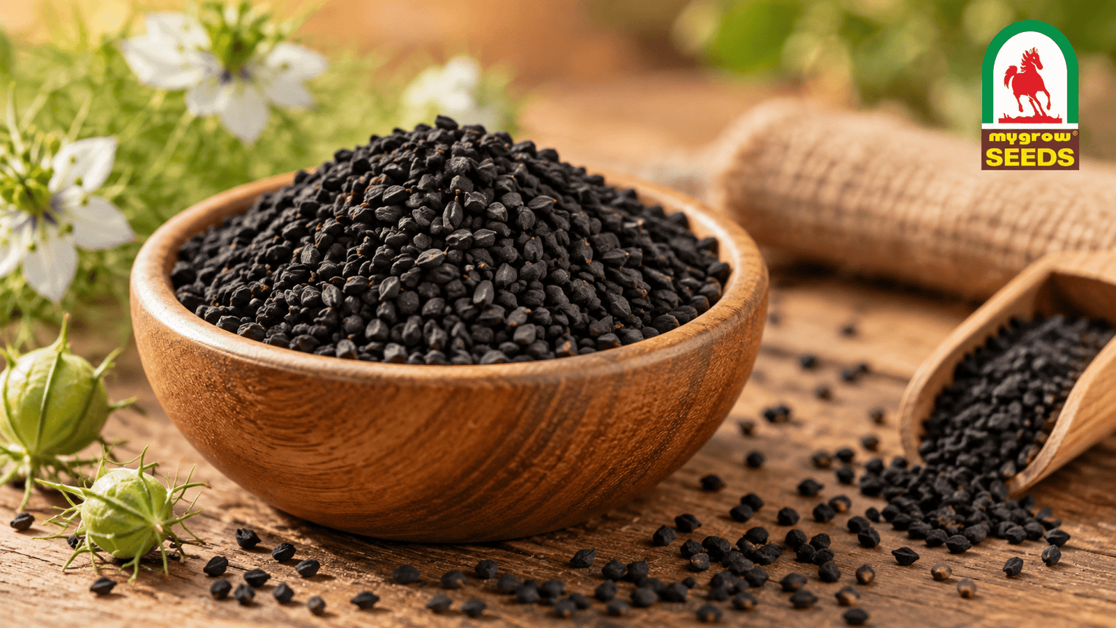 Kalonji Seeds — Health Benefits and How to Use Them